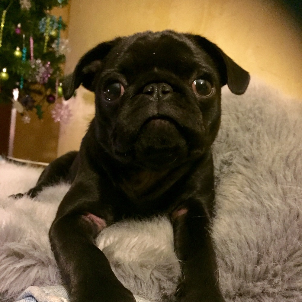 Meet your Posher, Nita